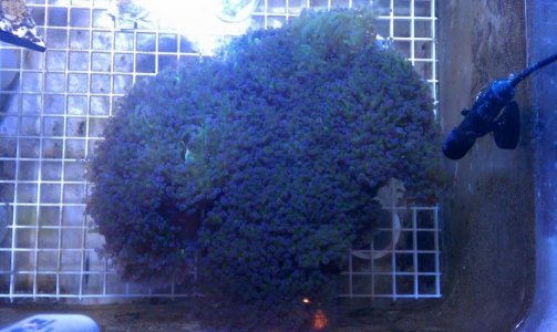 20120918_165600_Android.jpg