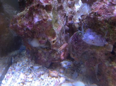 IMG_1696.jpg IMG_1696.jpg