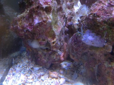 IMG_1701.jpg