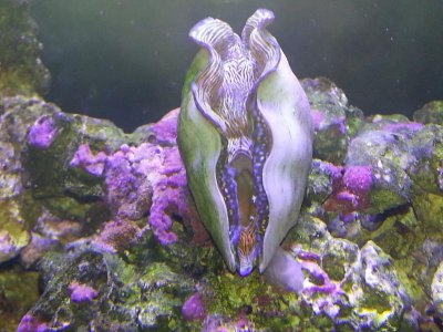 20140312_170353.jpg