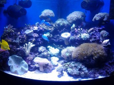 2014-03-12 22.26.08.jpg