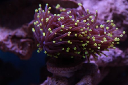 232323232%7Ffp93232)uqcshlukaxroqdfv8(28=ot)2468=996=(86=XROQDF)278; 56459248ot1lsi.jpg