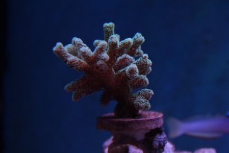 232323232%7Ffp93232)uqcshlukaxroqdfv9473=ot)278;=;4 =8;(=369 ;4 7(;339nu0mrj.jpg