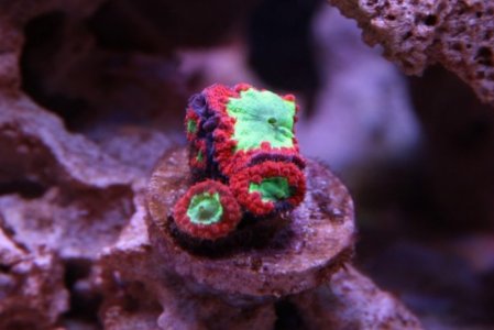 232323232%7Ffp93232)uqcshlukaxroqdfv6635=ot)278;=;4 =924=369 ;4 833339nu0mrj.jpg