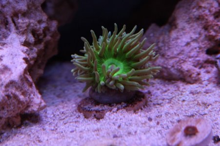 232323232%7Ffp93232)uqcshlukaxroqdfv787;=ot)2468=996=(86=XROQDF)278; 56458248ot1lsi.jpg