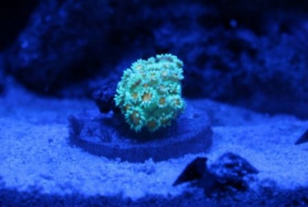 232323232%7Ffp93232)uqcshlukaxroqdfv 997=ot)278;=;4 =8; =369 ;4 7(9339nu0mrj.jpg