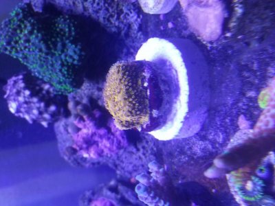 20140401_210339.jpg