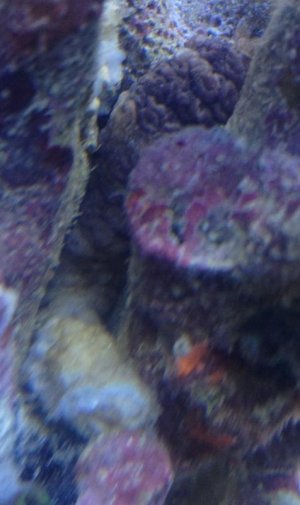 IMG_2787.jpg
