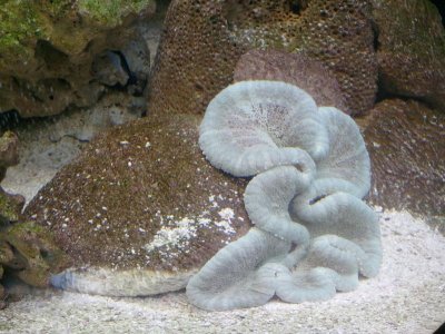 2014-04-02 18.40.04.jpg