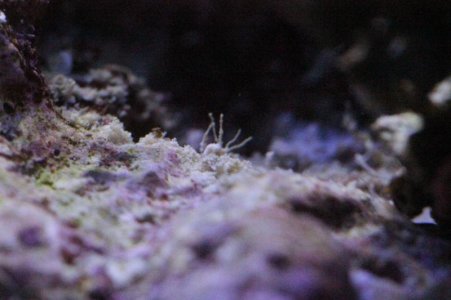 IMG_6030.jpg