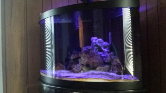 20140313_174241.jpg