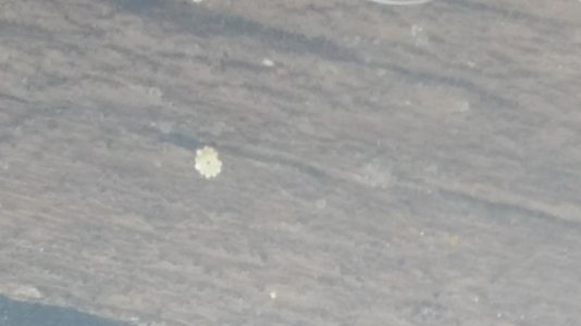 20140315_104754.jpg