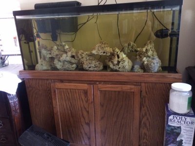 55 G quarantine 2.jpg