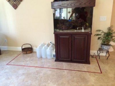 Project for the 375G A.jpg