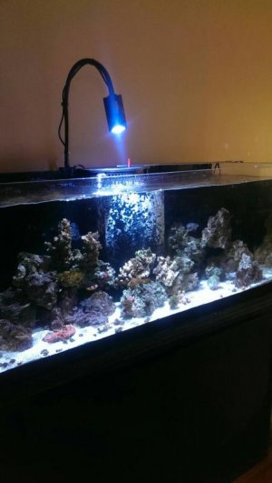 uploadfromtaptalk1396636886207.jpg uploadfromtaptalk1396636886207.jpg