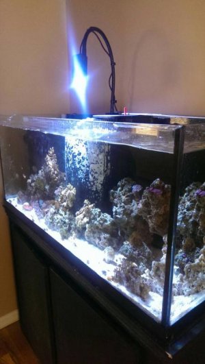 uploadfromtaptalk1396636908120.jpg uploadfromtaptalk1396636908120.jpg