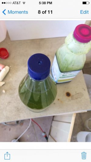 image.jpg