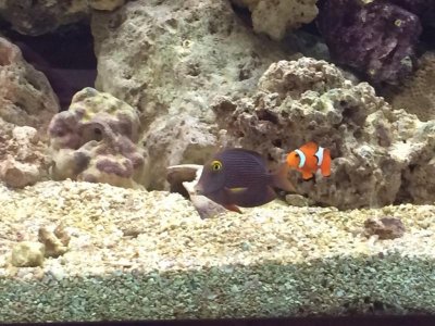 photo (11) (1024x768).jpg