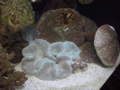 2014-04-05 09.18.07.jpg