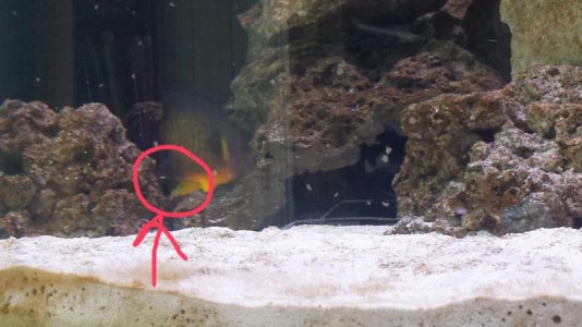 2014-04-05 11.18.39.jpg