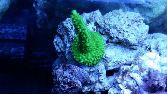 20140317_150547.jpg