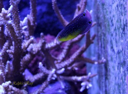 IMG_3218_resize.jpg