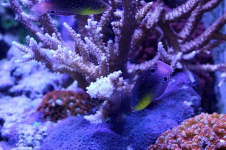 IMG_3195_resize.jpg