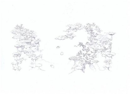 moon Ã¬Å Â¤Ã¬Â¼â‚¬Ã¬Â¹Ëœ.jpg