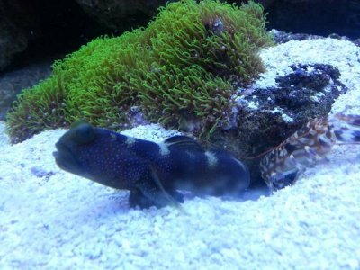 uploadfromtaptalk1395126821903.jpg uploadfromtaptalk1395126821903.jpg