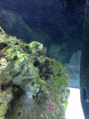 photo (1).jpg
