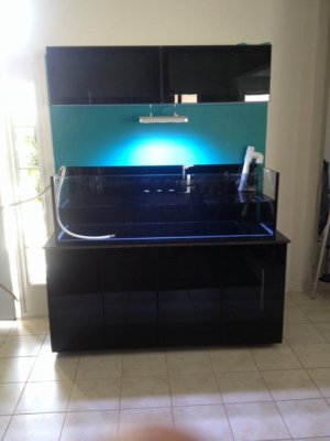 ImageUploadedByTapatalk1396802877.420713.jpg