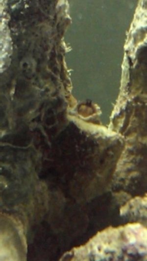 VIDEO0136_0000031536.jpg