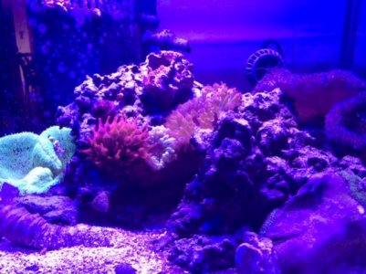 photo(2).jpg