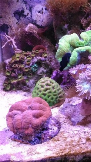 2014-03-14 17.23.18 (Medium).jpg