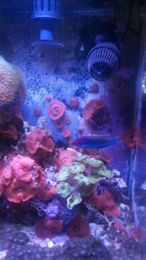 2014-03-09 11.06.37 (Medium).jpg