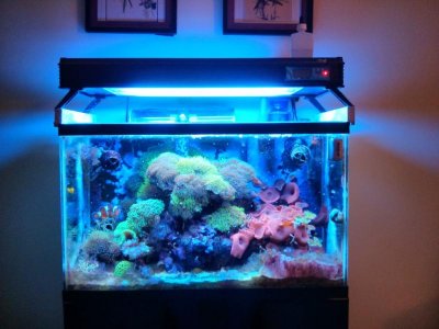 2013-10-21 18.17.58 (Medium).jpg