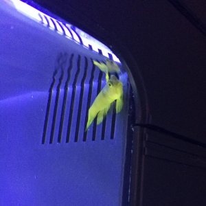 Photo Apr 08, 20 40 48.jpg