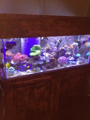 Fish Tank 3-2-14..jpg