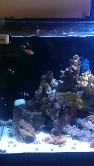 uploadfromtaptalk1397146997408.jpg uploadfromtaptalk1397146997408.jpg