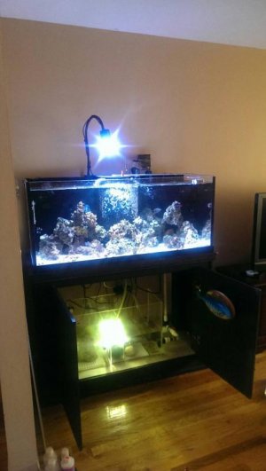 uploadfromtaptalk1397147037376.jpg uploadfromtaptalk1397147037376.jpg