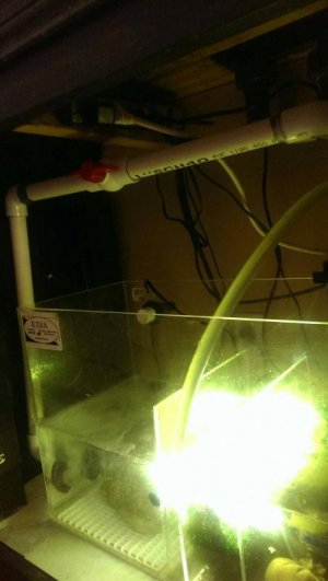 uploadfromtaptalk1397147070237.jpg uploadfromtaptalk1397147070237.jpg