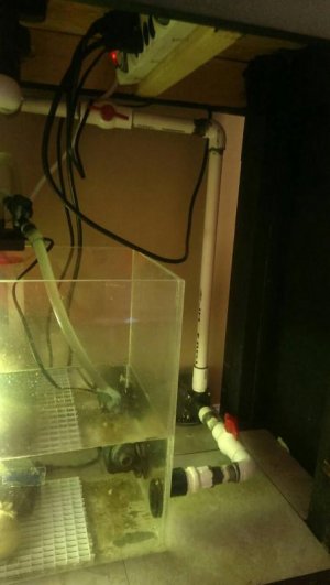 uploadfromtaptalk1397147083456.jpg uploadfromtaptalk1397147083456.jpg