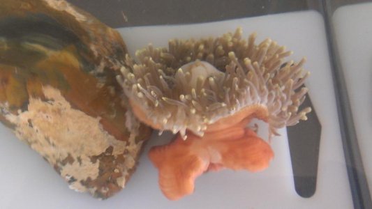 2014-04-10 10.49.51.jpg