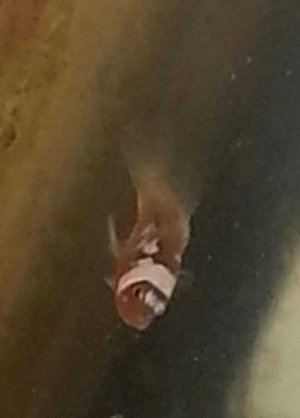 20140228_155803-1.jpg