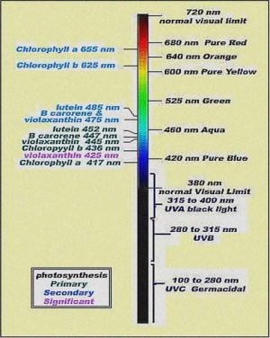 Spectrum Chart.JPG