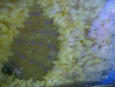 2014-03-22 21.40.19.jpg