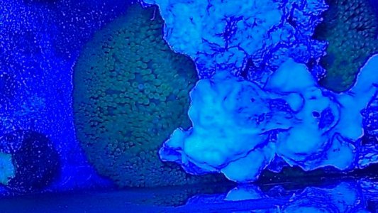 2014-03-22 21.45.01.jpg