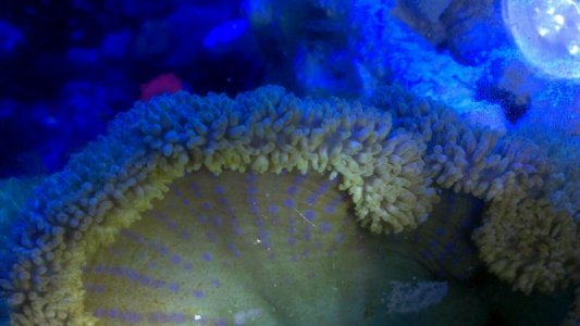 2014-03-22 22.40.03.jpg