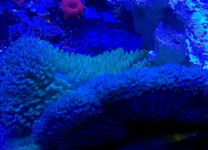 2014-03-22 22.42.35.jpg