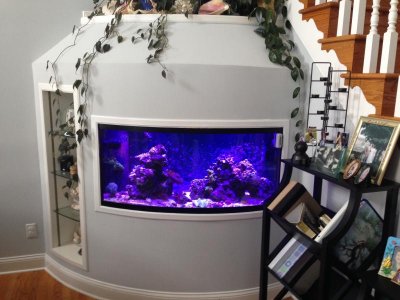 photo (1).jpg